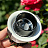 Skarlat RSL74331 10W WH+BK 4000K-5