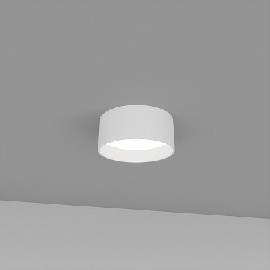 Skarlat RDLC79032 20W BK 4000K